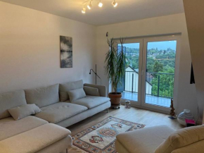 WORKATION Adler Taunusblick , 3-4 Personen, Balkon, 2 Badezimmer, Riesen Küche, Waschmachine, viel Platz, Privatparkplatz